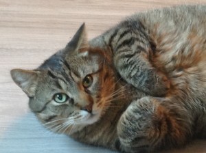 Art's way of relaxing