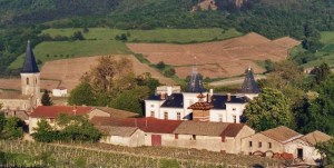 Vignoble du Château d'Émeringes vue du clos arrière
