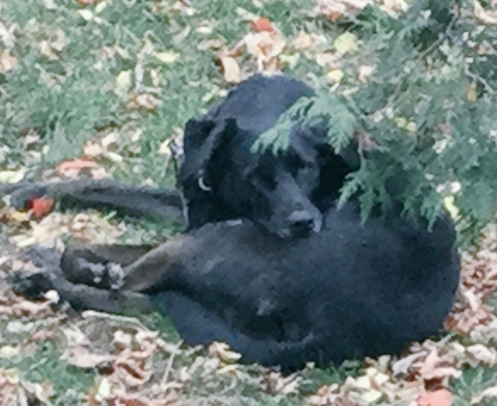 Petites bêtes pas si&nbsp;bêtes