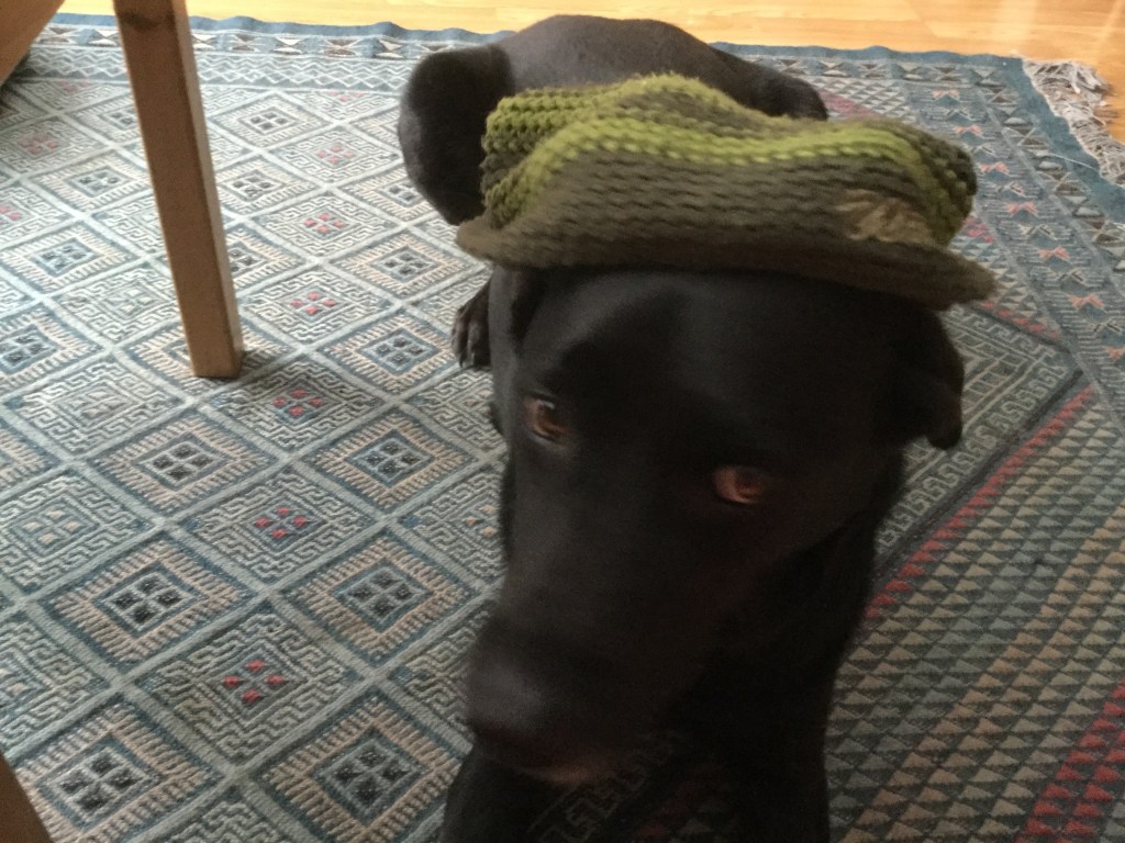 PROGRAMMATION OBÉISSANCE