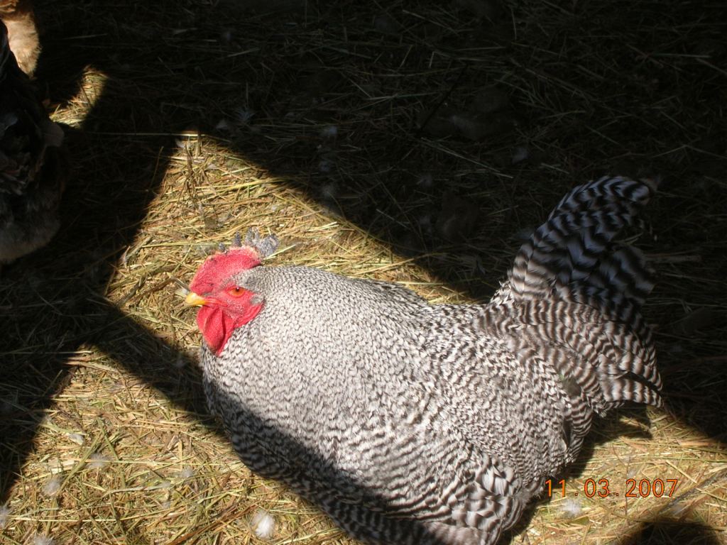 Adriane : Souvenirs de&nbsp;famille